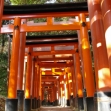 Kyoto Afternoon Tour: Fushimi Inari Taisha, Sanjusangen-do Temple, Kiyomizu-dera Temple (Round-trip from Kyoto)