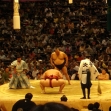 [Tokyo Tournament] Grand Sumo Tournament Viewing Tour with Light Snack & Cheering Goods (2nd Floor A-class Chair Seating)