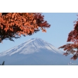 Discover Yamanashi - Culture & Nature (4days/3nights)
