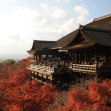 Discover Hidden Japan & Golden Route: Tokyo, Hakone, Kyoto, Kurashiki, Tokushima, Iya Valley, Osaka (11 days / 10 nights) 