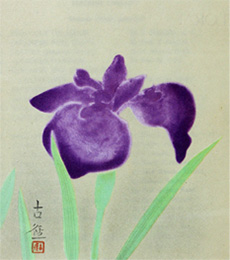 The hanasyobu (iris) by Kokei Kobayashi